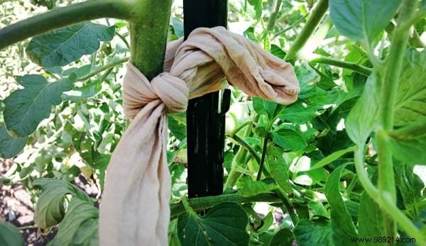 20 Genius Recycling Ideas to Save Money and Transform Your Garden