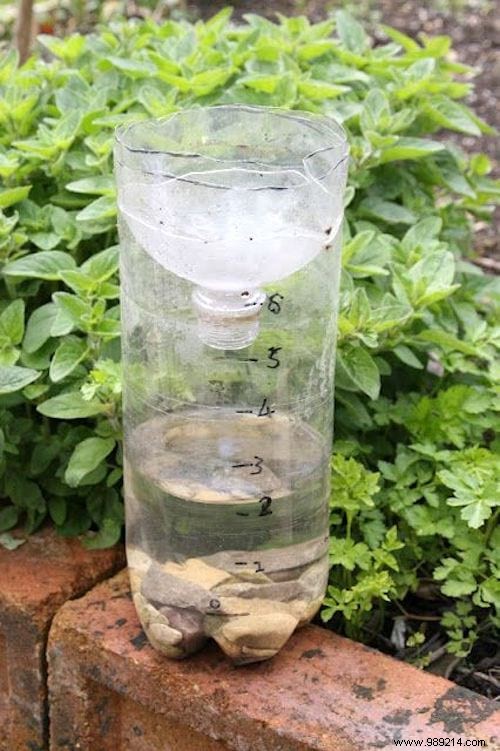 20 Genius Recycling Ideas to Save Money and Transform Your Garden