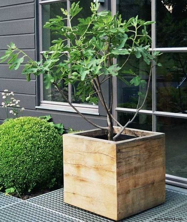20 Genius Recycling Ideas to Save Money and Transform Your Garden
