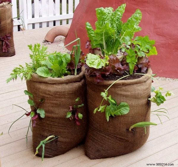 20 Genius Recycling Ideas to Save Money and Transform Your Garden