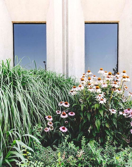 30 Proven Gardening Tips from Experts to Simplify Your Life