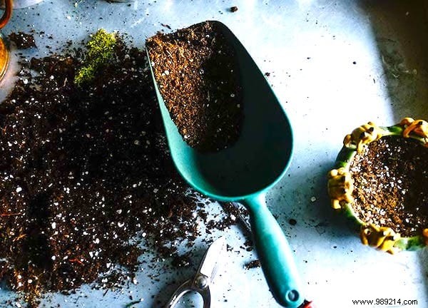 30 Proven Gardening Tips from Experts to Simplify Your Life