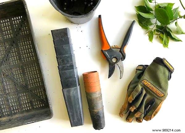 30 Proven Gardening Tips from Experts to Simplify Your Life