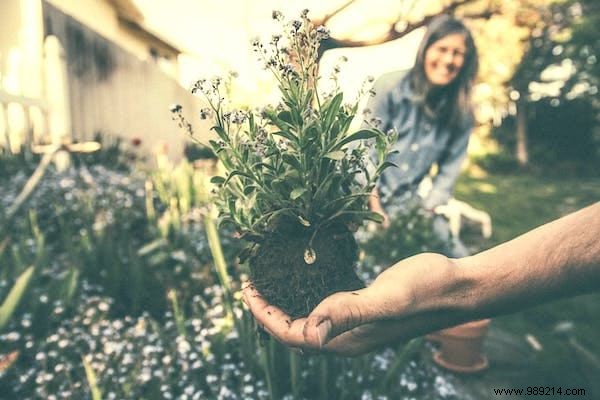30 Proven Gardening Tips from Experts to Simplify Your Life