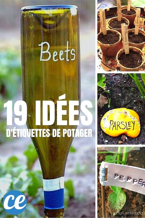 19 Brilliant Free DIY Ideas for Beautiful Vegetable Garden Labels