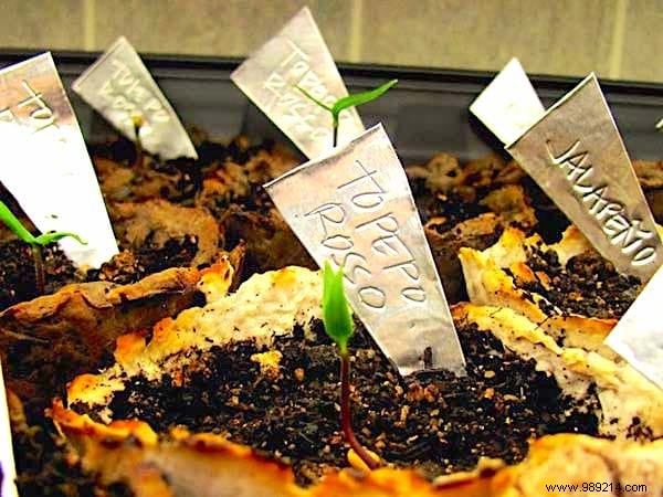 19 Brilliant Free DIY Ideas for Beautiful Vegetable Garden Labels