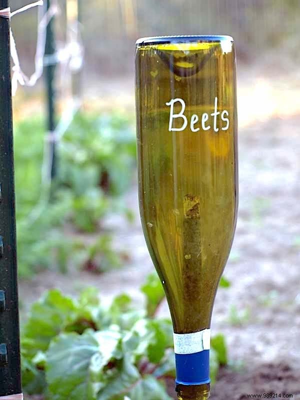 19 Brilliant Free DIY Ideas for Beautiful Vegetable Garden Labels