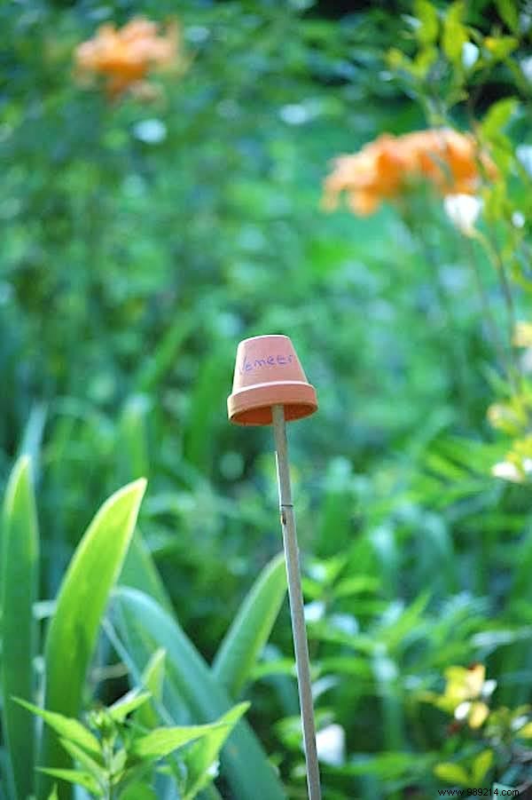 19 Brilliant Free DIY Ideas for Beautiful Vegetable Garden Labels