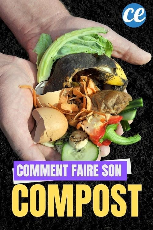 Beginner s Guide to Making Nutrient-Rich Compost at Home