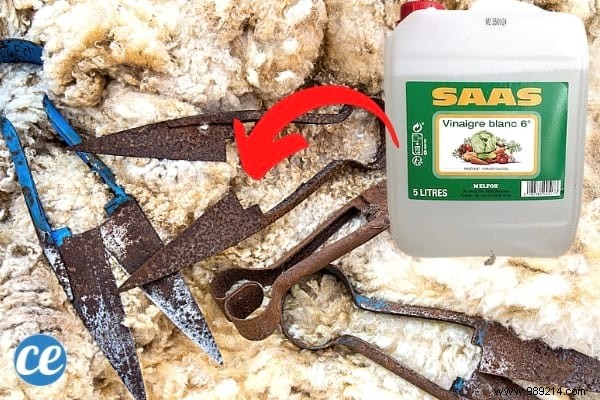 15 Proven Ways to Use Vinegar in Your Garden: Natural, Affordable Solutions