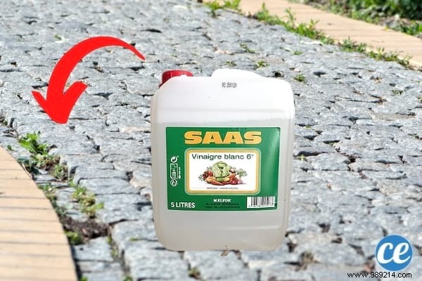 15 Proven Ways to Use Vinegar in Your Garden: Natural, Affordable Solutions