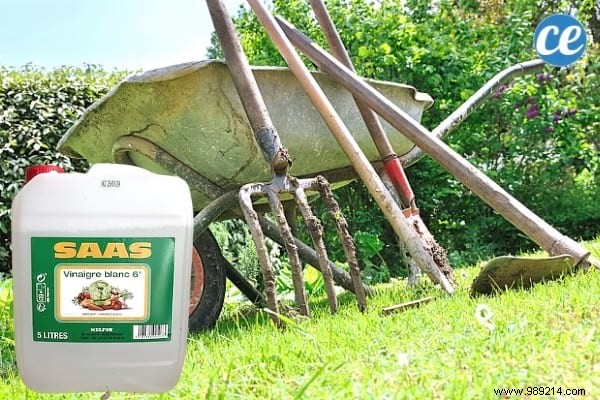 15 Proven Ways to Use Vinegar in Your Garden: Natural, Affordable Solutions