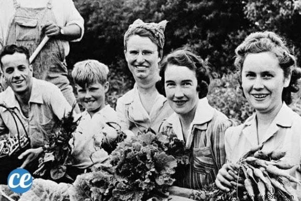 17 Timeless Eco-Habits Our Grandparents Mastered Naturally