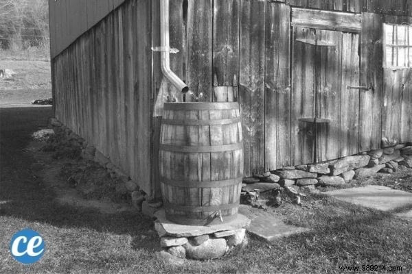 17 Timeless Eco-Habits Our Grandparents Mastered Naturally