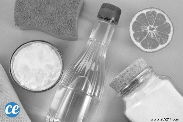 17 Timeless Eco-Habits Our Grandparents Mastered Naturally