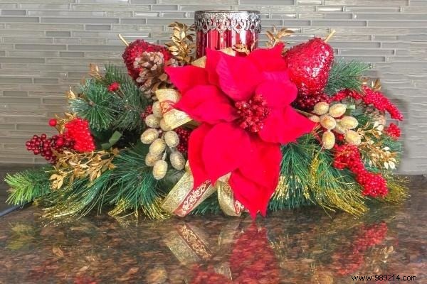 8 Stunning Christmas Flowers to Brighten Your Home This Holiday Season