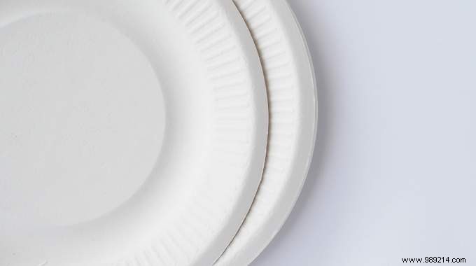Affordable and Durable Disposable Plates for Picnics, Parties, and More