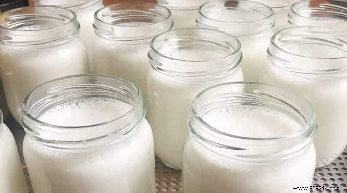 Easy Homemade Fruit Yogurt: Save Money with Grandma s Proven Trick