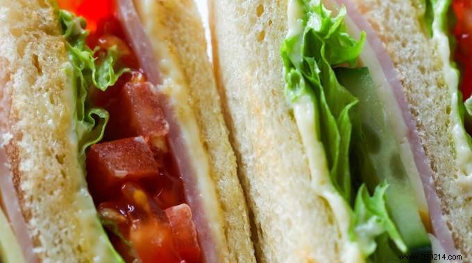 Light, Budget-Friendly Smoked Salmon Sandwich: A Quick Lunch Break Essential