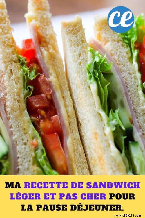 Light, Budget-Friendly Smoked Salmon Sandwich: A Quick Lunch Break Essential