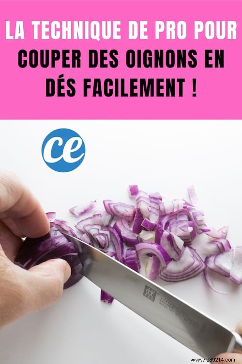 Master the Pro Chef s Technique for Perfectly Diced Onions in Seconds