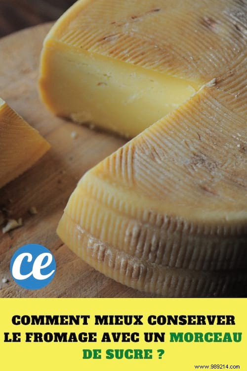 How to Keep Cheese Fresh Longer: The Sugar Cube Preservation Trick