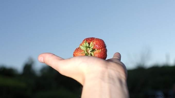 How to Eat Well on a Tight Budget: Real Tips from a Family of Four