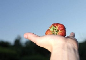 How to Eat Well on a Tight Budget: Real Tips from a Family of Four