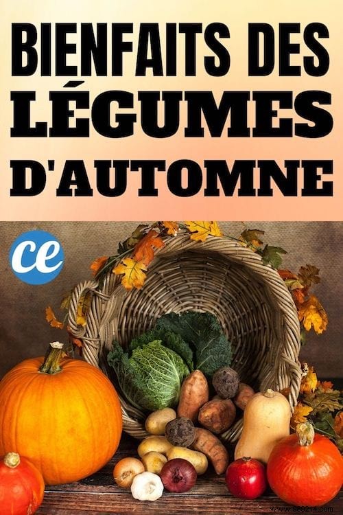 Unlock the Health Benefits of Autumn Vegetables for Seasonal Wellness