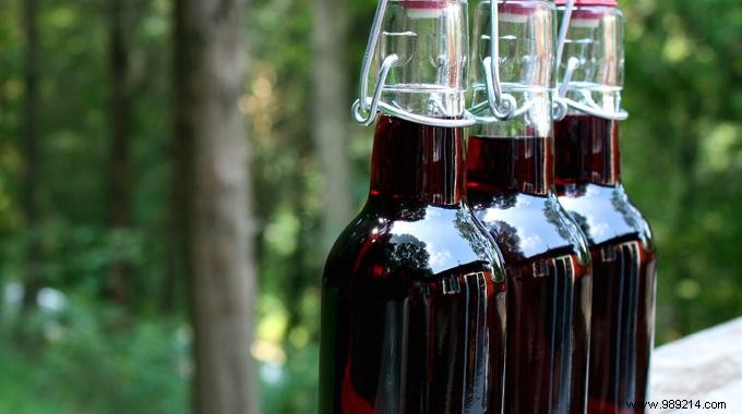 3 Easy Homemade Flavored Vinegar Recipes: Raspberry, Walnut & Shallot