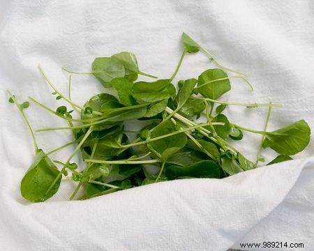 Fresh Watercress, Pear & Fromage Frais Salad: Original Flavor Under €1 Per Serving