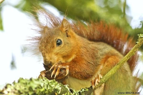 Save 40-75% on Dried Fruits: Shop the Produce Section, Not the Baking Aisle