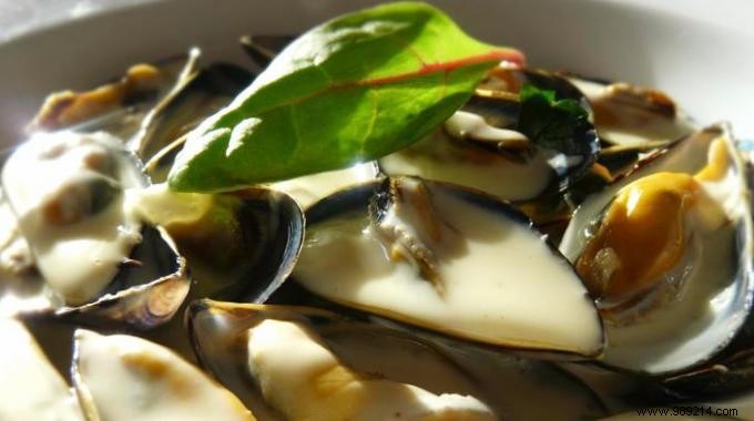 Authentic Mouclade Charentaise: Easy, Budget-Friendly Mussels from France s Atlantic Coast