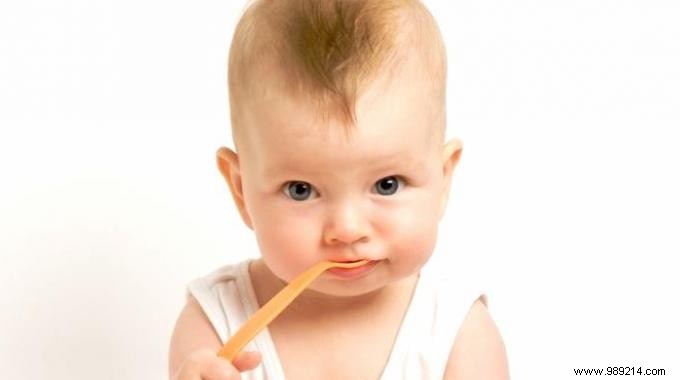 Homemade Vegetable Porridge with Gruyère for Babies (8+ Months) – Just €0.77