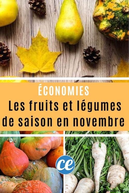 November s Seasonal Fruits and Vegetables: Shop Local to Save Money