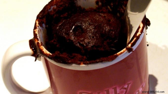 Irresistible Coconut Chocolate Mug Cake: Gourmet Bliss for €1.06 in Under 5 Minutes