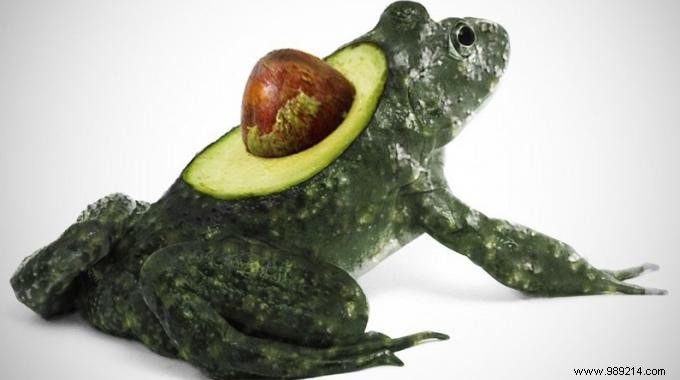 Effortless Avocado Pit Removal: No-Touch Knife Trick from a Pro Chef