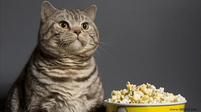 Genius Hack: Make a Popcorn Bowl in Seconds with Parchment Paper