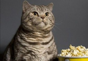 Genius Hack: Make a Popcorn Bowl in Seconds with Parchment Paper