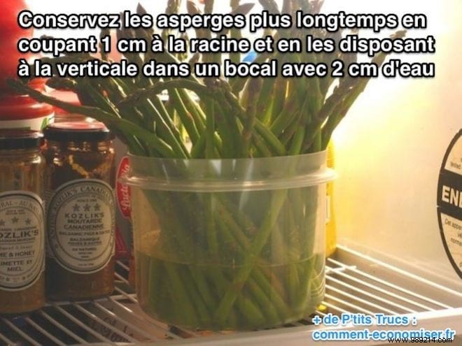 How to Store Asparagus for Maximum Freshness: A Proven Kitchen Tip