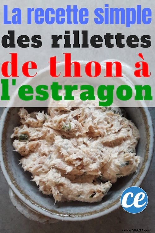 Easy Tuna Rillettes with Tarragon: Light, Budget-Friendly Appetizer Recipe