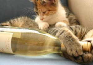 Quick DIY Hack: Open a Wine Bottle with a Power Drill