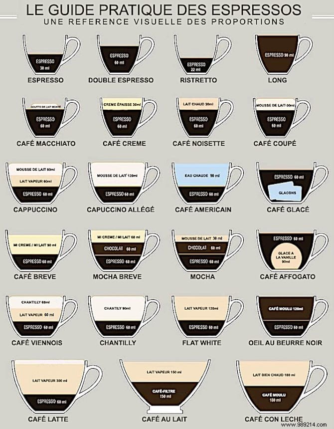 Expert Guide: Perfect Proportions for Every Coffee Type at Home