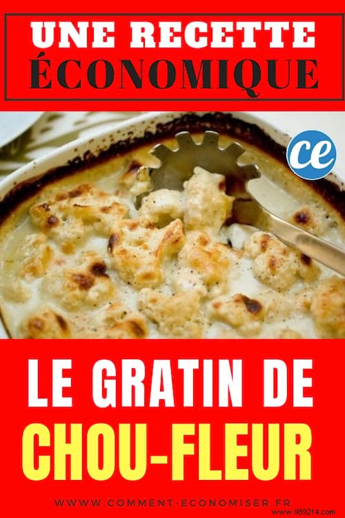 Budget-Friendly Cauliflower Gratin with Bacon: Easy €0.67 Per Serving Recipe