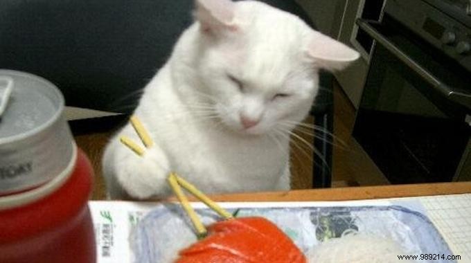 Master Chopsticks Effortlessly: The Clothespin Trick That Works