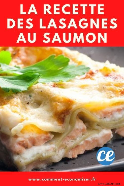 Easy Salmon Lasagna Recipe: Flavorful, Family-Friendly at Just €3.47 per Serving