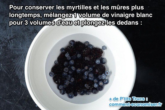 How to Keep Blueberries and Blackberries Fresh for Weeks: Proven Vinegar Trick