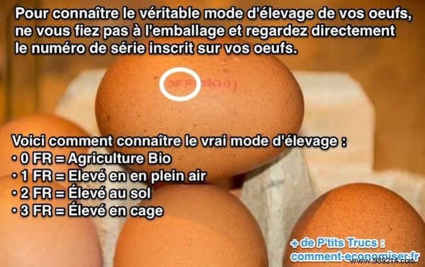 How to Verify If Your Eggs Are Truly Organic: Decode the Code on the Shell