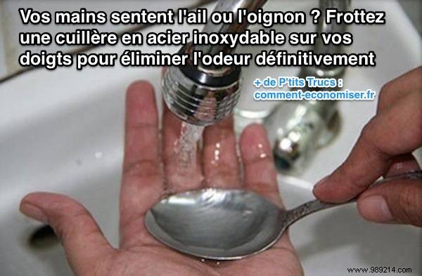 Ban Onion and Garlic Smells from Hands: Proven Stainless Steel Spoon Trick