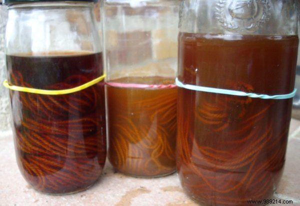 7 Practical Ways to Repurpose Onion Skins and Reduce Waste